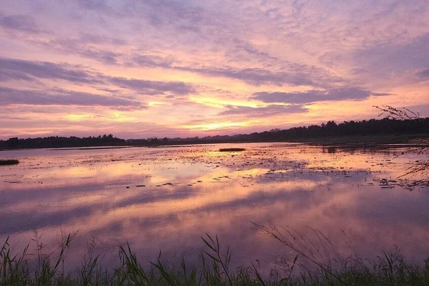 A sunset over a calm water body with reflections, a grassy foreground, and a distant tree line. 5