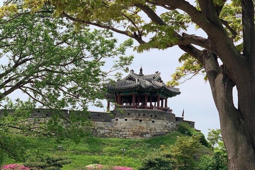 A traditional Korean pavilion on a grassy hill with stone walls and a large tree in the foreground. 1