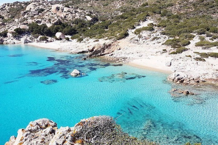 La Maddalena archipelago: Boat rental with skipper 3