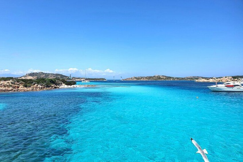 La Maddalena archipelago: Boat rental with skipper 2