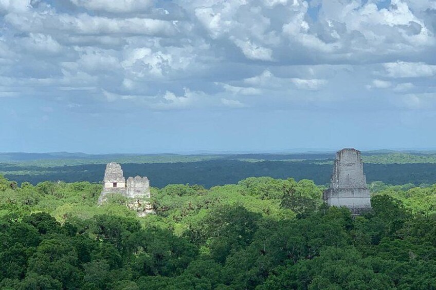 A jungle landscape with ancient Mayan ruins, including a large pyramid and smaller structures. 2