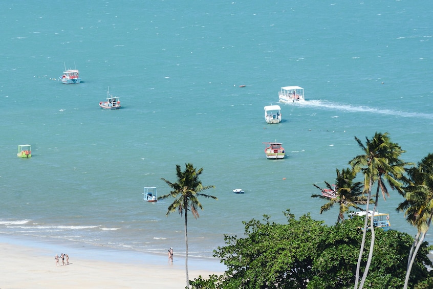 Beach Day In Maragogi From Porto De Galinhas