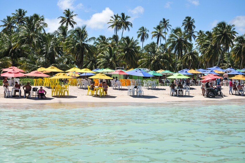 Beach Day In Maragogi From Porto De Galinhas