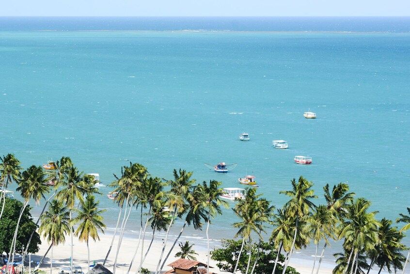 Beach Day In Maragogi From Porto De Galinhas