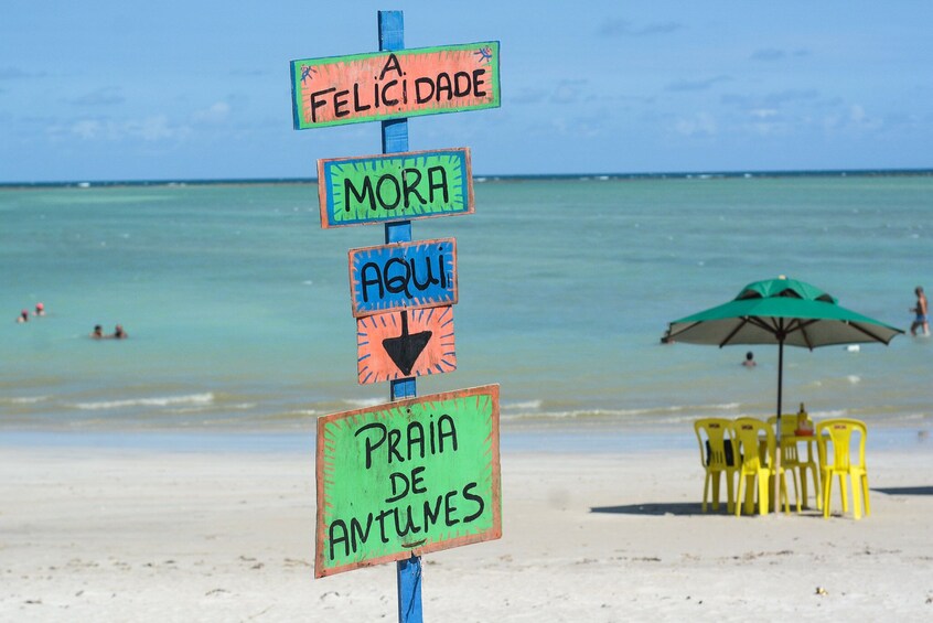 Beach Day In Maragogi From Porto De Galinhas