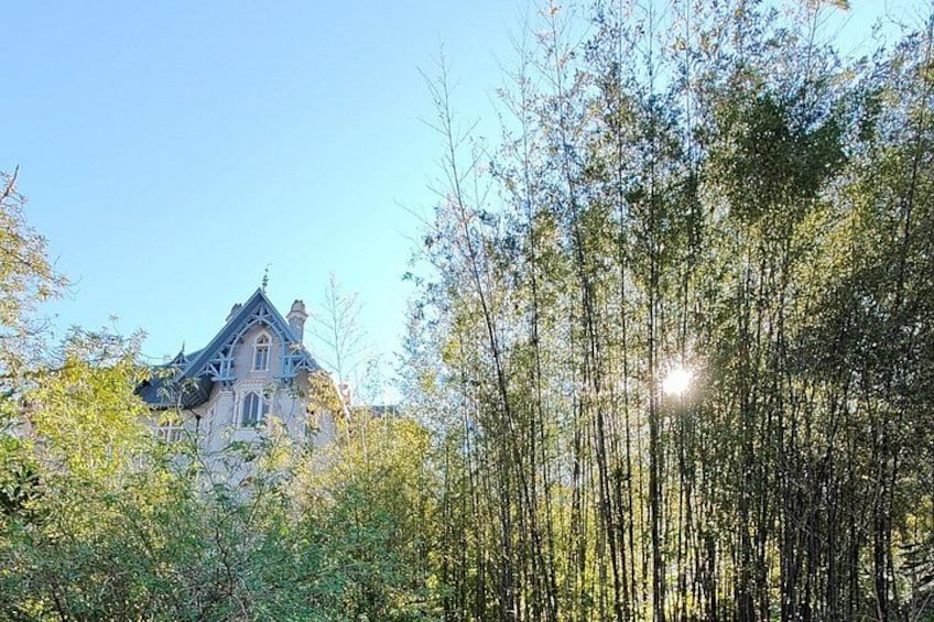 Une grande maison entourée d’arbres denses, à travers lesquels la lumière du soleil filtre. 2