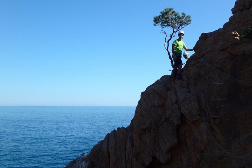 A person rappelling down a rocky cliff with a tree on top, overlooking a body of water. 2