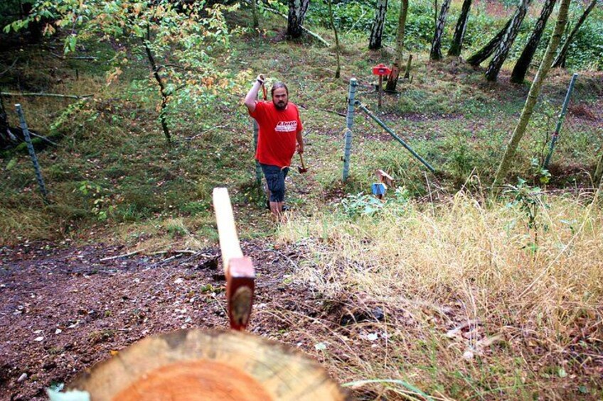 A forest with a person in a red shirt carrying a log. 1
