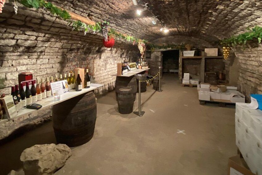 Private tasting of Burgundy wines in Saint Bris Le Vineux 1