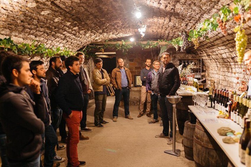 Private tasting of Burgundy wines in Saint Bris Le Vineux 5