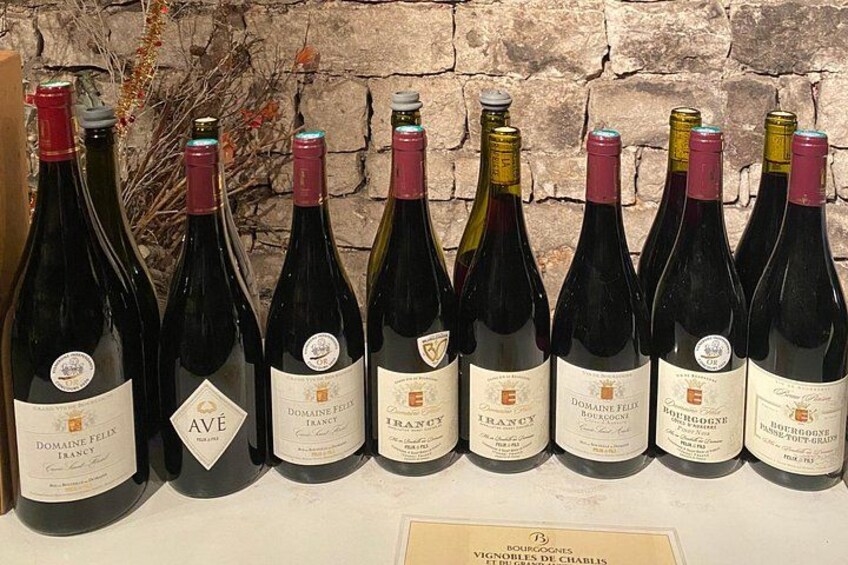 Private tasting of Burgundy wines in Saint Bris Le Vineux 2