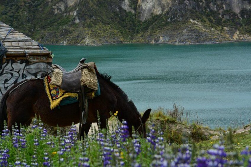 Full-Day Tour to Quilotoa Lagoon From Quito with Lunch 2