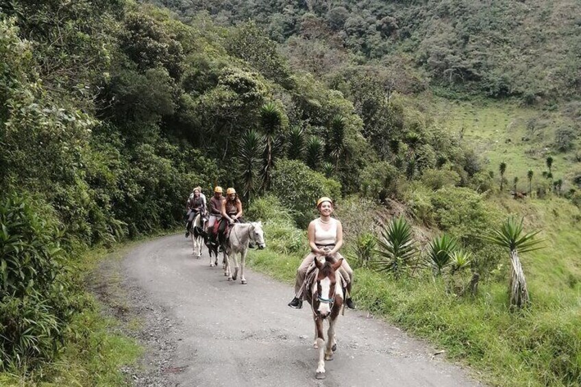 2 Hours Small-Group Horseback Riding Experience in Banos