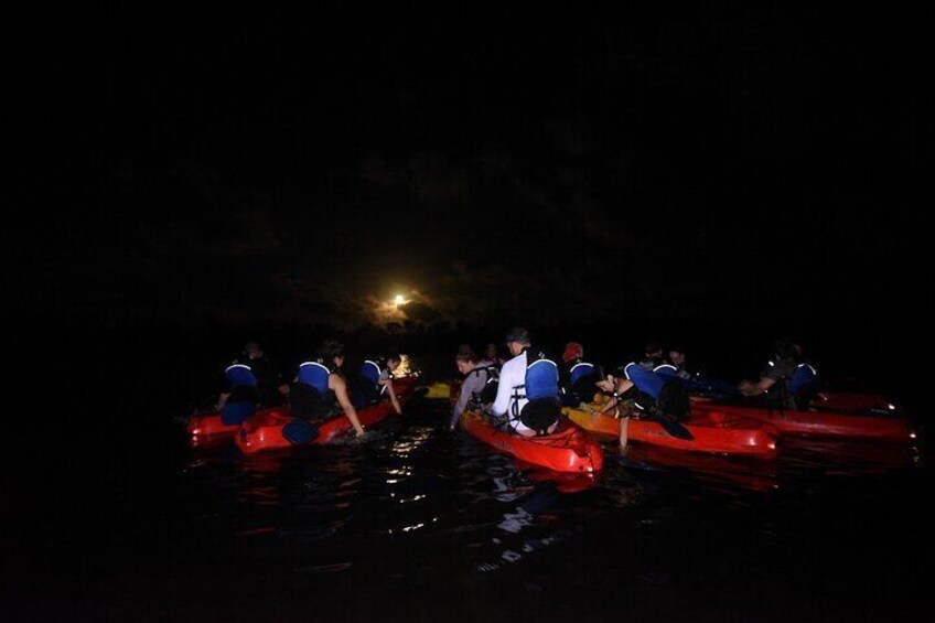 Group Bio Bay Sunset Adventure Kayaking