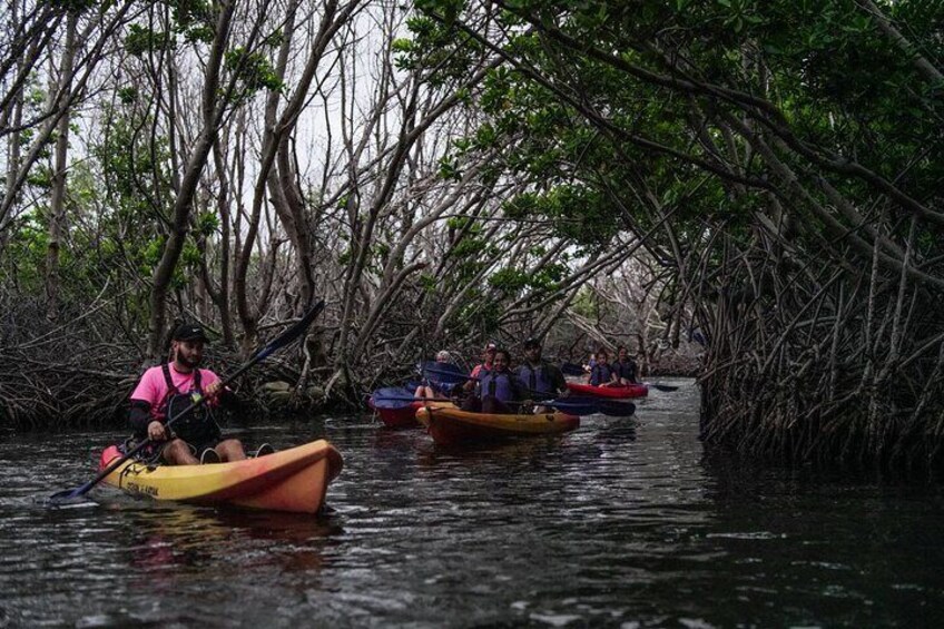 Group Bio Bay Sunset Adventure Kayaking