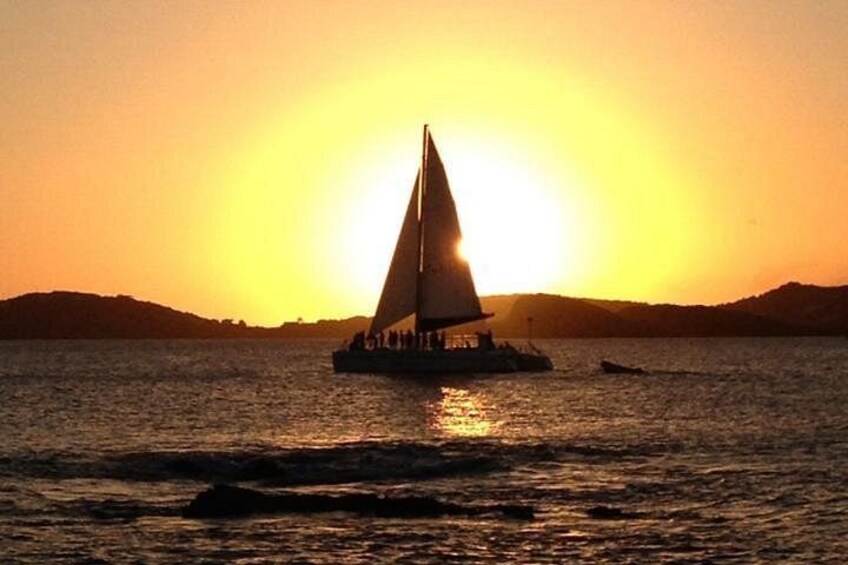 The VI Cat Dinner Sail 3
