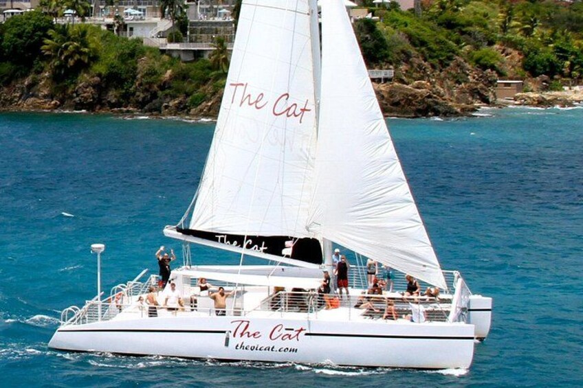 The VI Cat 2