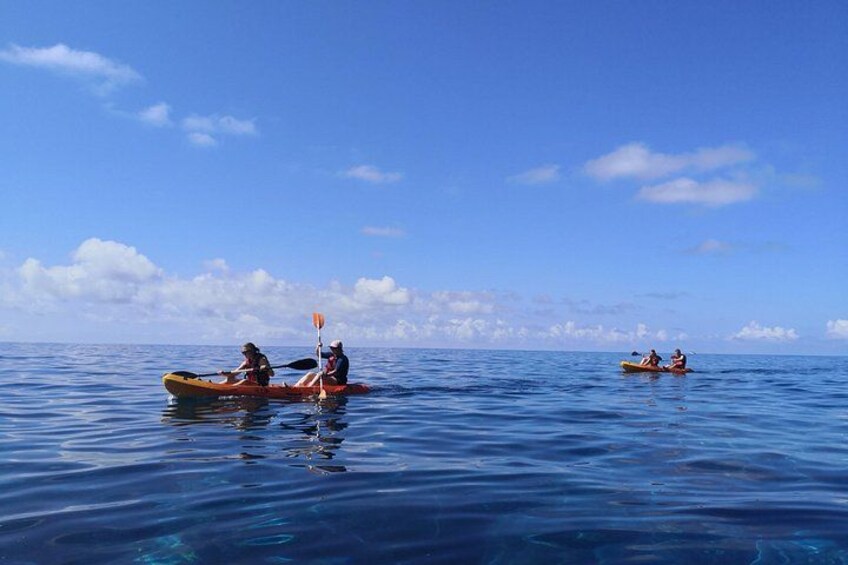 Kayak and Snorkeling Tour in Underwater Nature Reserve Garajau 3