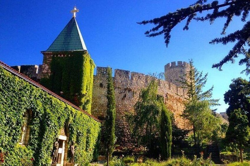 A castle with a tower, ivy-covered walls, and a stone fortification. 5
