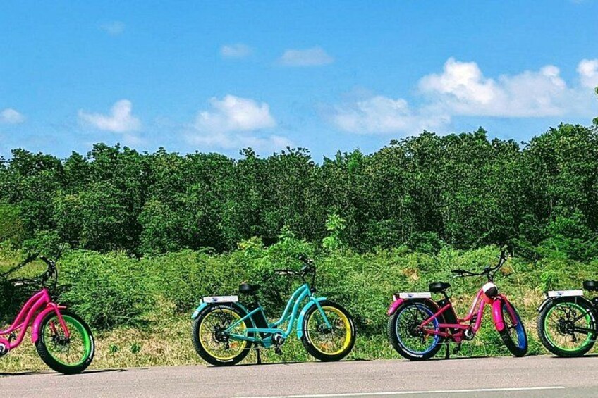 E-Bike Tour of Antigua Forts and Beaches 2