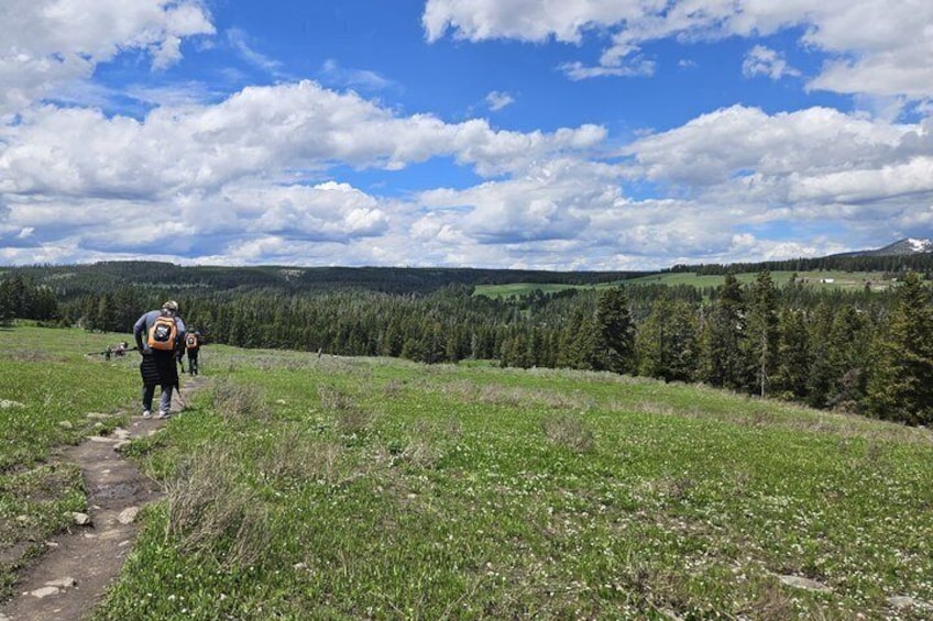 A hiking trail with hikers, a grassy field, and a forested hill in the background. 3