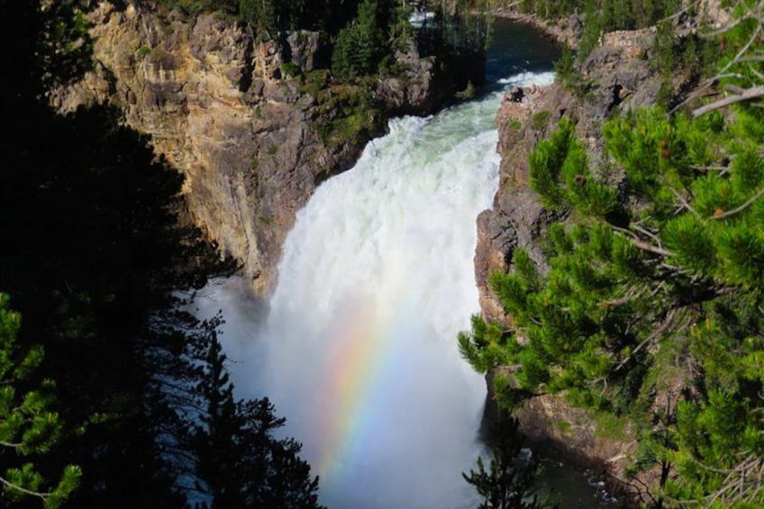 A waterfall with a rainbow, surrounded by dense forest. 3