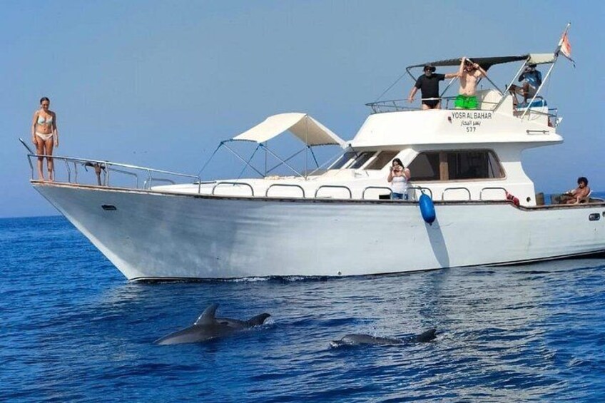 Un barco llamado 'Tosca Albahar' con gente en la cubierta y delfines nadando cerca. 1