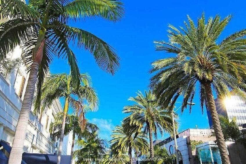 A street lined with palm trees and buildings under a clear blue sky. 3