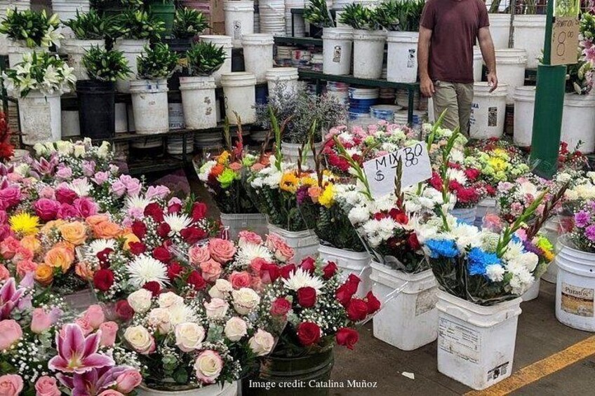 A flower market with various potted plants and flowers. 4
