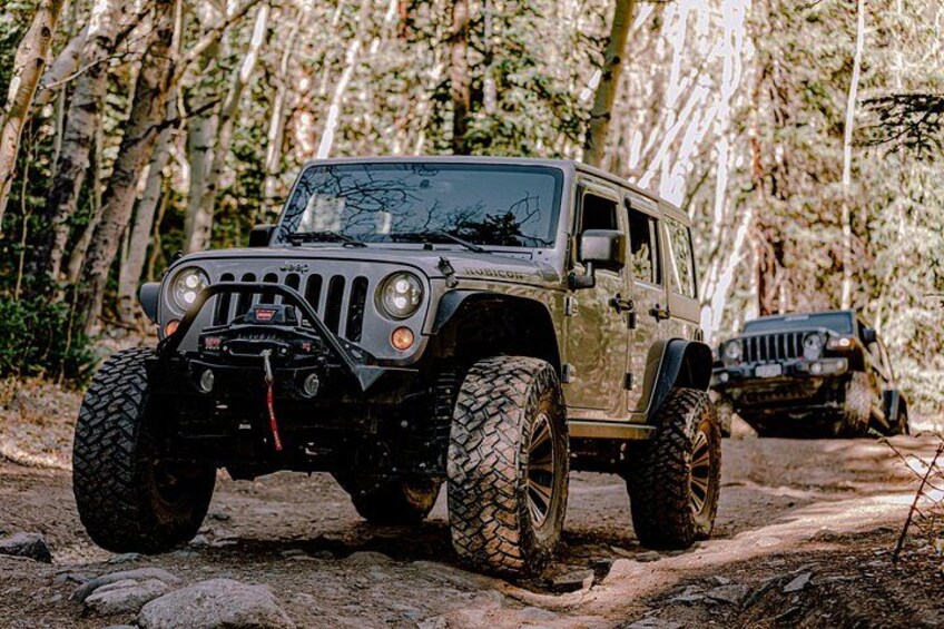 A rugged off-road vehicle on a dirt path surrounded by trees. 3