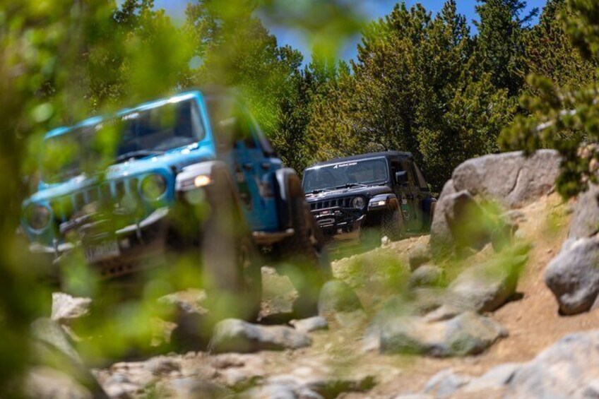YOU Drive the Jeep! Guided 4x4 Tour in Black Hawk (Denver) 5