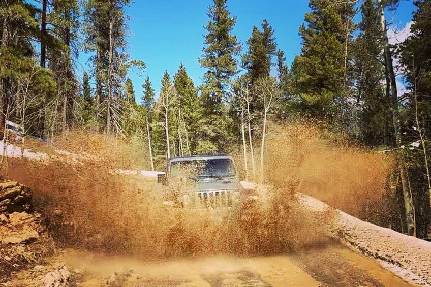 A vehicle driving through a forested area with a dirt path. 4