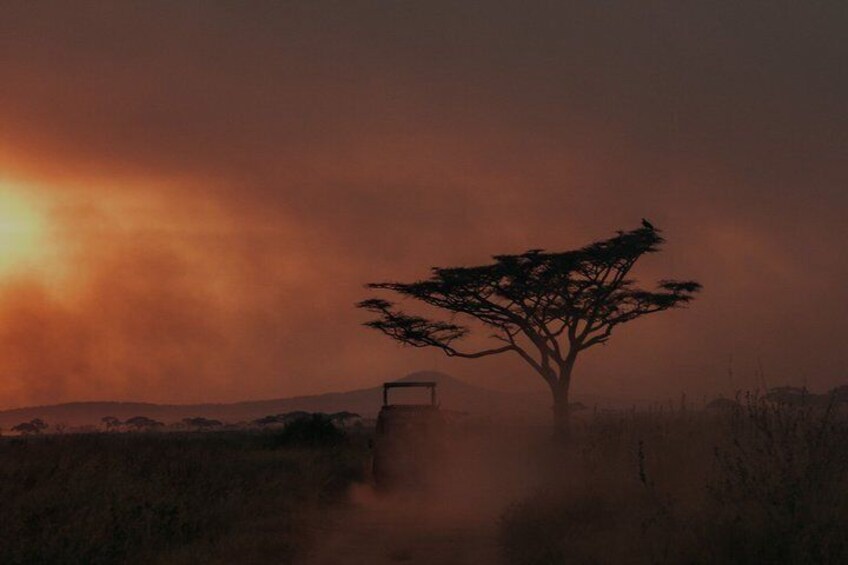 10 Day Luxury Tanzania Honeymoon Safari & Zanzibar + Balloon. 5
