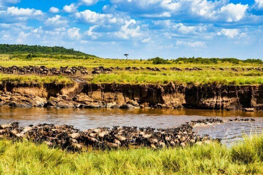 10 Day Luxury Tanzania Honeymoon Safari & Zanzibar + Balloon. 2