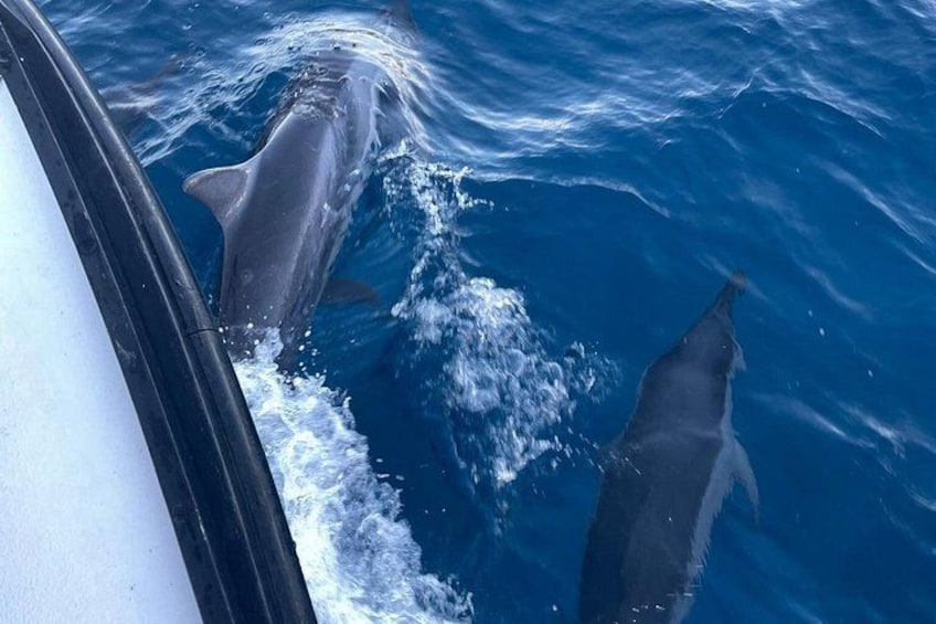 Private Fishing Charter for Family and Friends in Honolulu 4
