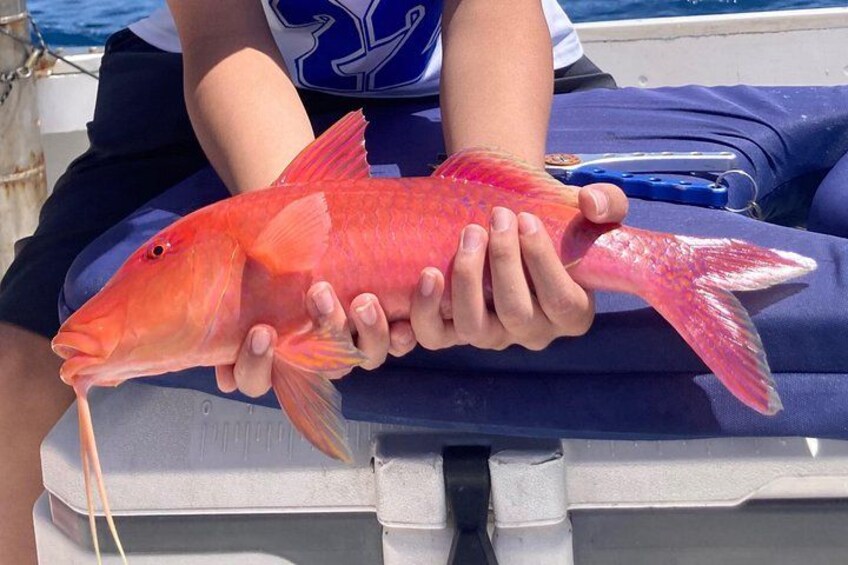 Private Fishing Charter for Family and Friends in Honolulu 3