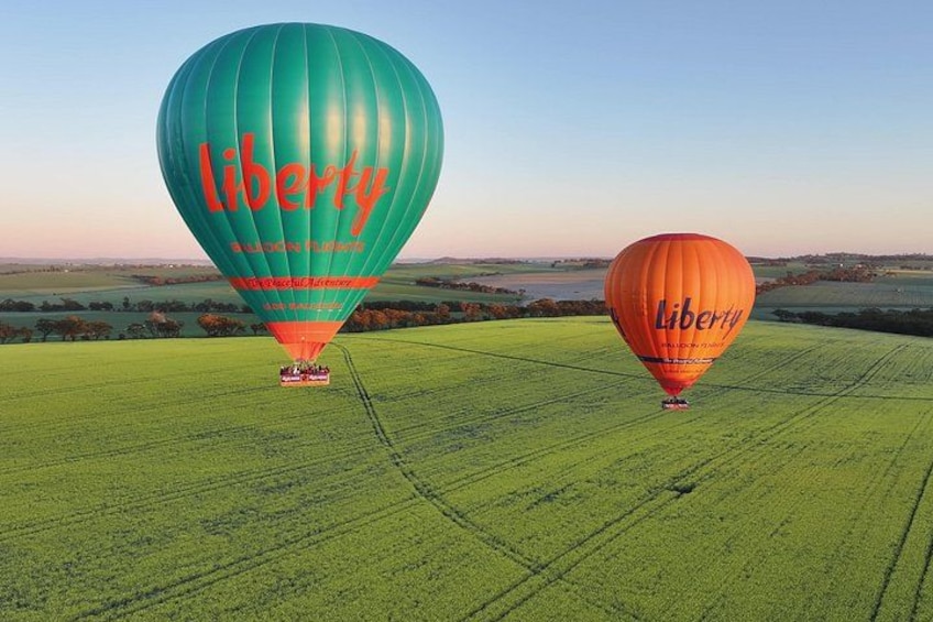 Hot Air Balloon Flights in Perth (Avon Valley) with breakfast 1