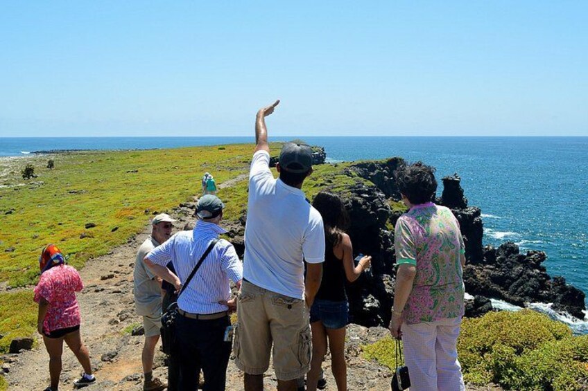 A group of people standing on a rocky coastline, overlooking the ocean. 3
