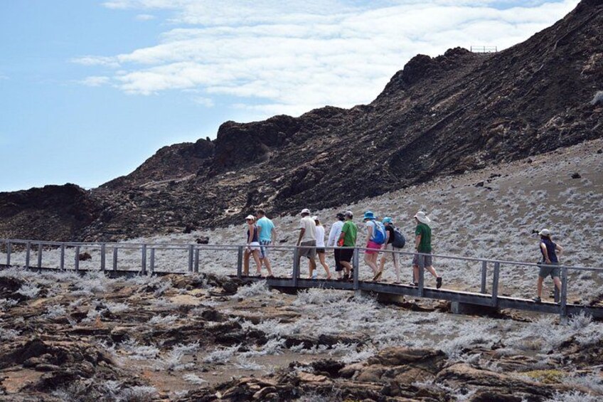 A group of people walking on a rocky path with a metal railing. 4