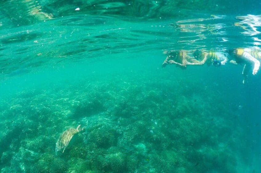 Une personne nageant sous l’eau dans une eau turquoise et cristalline. 4