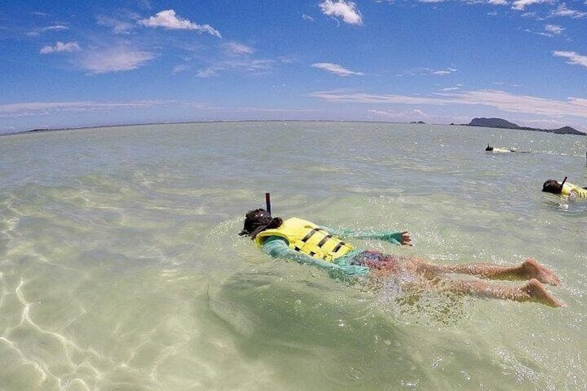 Kids friendly ocean activities 5