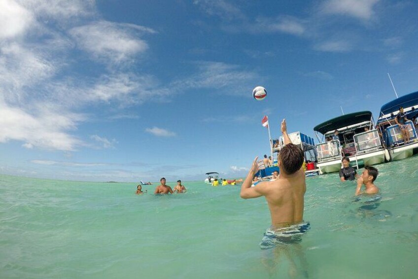 Kaneohe Sandbar Snorkeling Tour 4