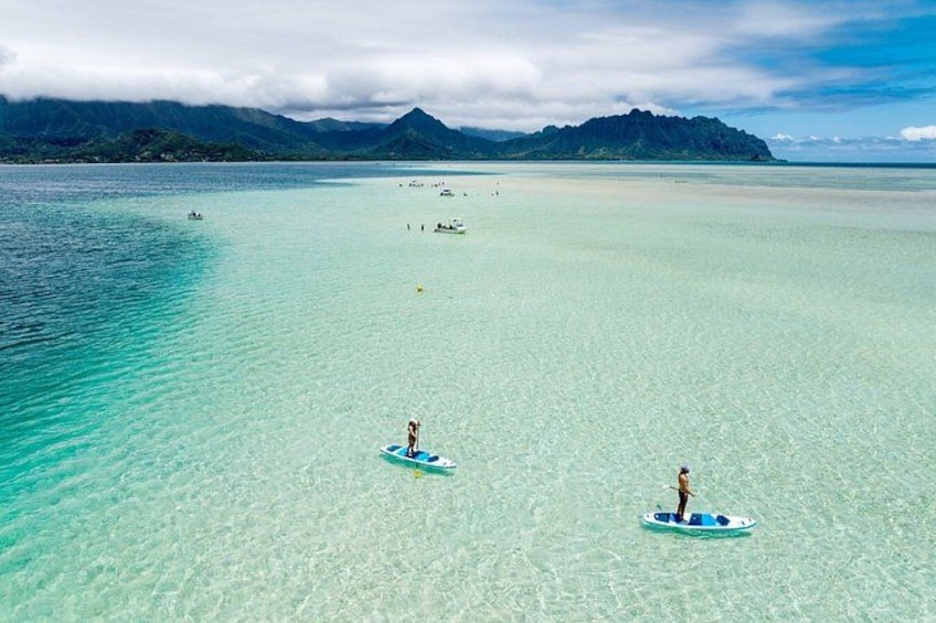 Kaneohe Sandbar Afternoon Snorkeling Tour 5