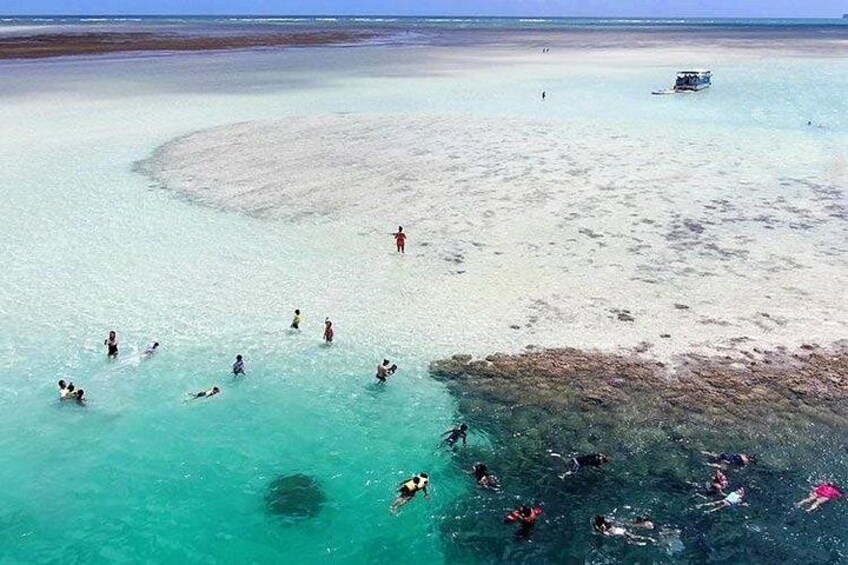 Snorkel the clear, aquamarine waters of the Turtle Reef 4