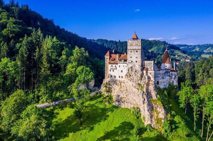 A castle on a hill surrounded by forest. 1