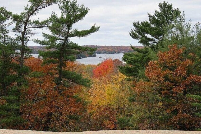 A forest with autumn foliage, a lake, and a distant shoreline. 5