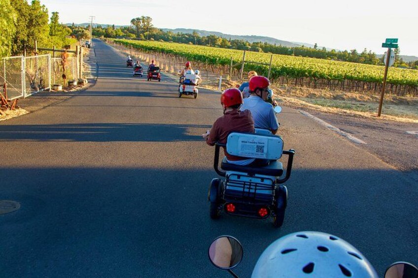 Sonoma Wine Country Electric Trike & Wine Tour - 3 hours 1