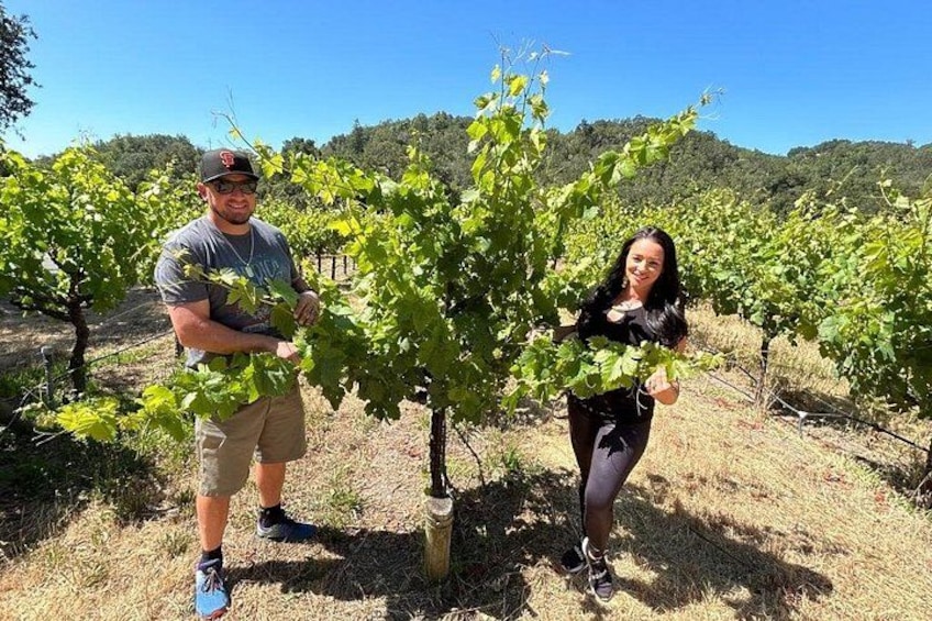 Sonoma Wine Country Electric Trike & Wine Tour - 3 hours 5
