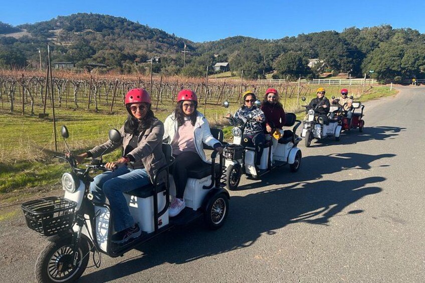 Sonoma Wine Country Electric Trike & Wine Tour - 3 hours 5