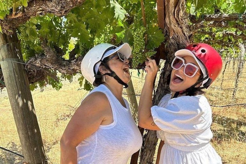 Sonoma Wine Country Electric Trike & Wine Tour - 3 hours 3